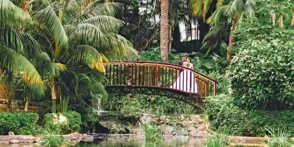 Hotel Botanico